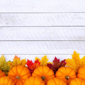 revive_tg_thanksgiving - Revive Tile & Grout