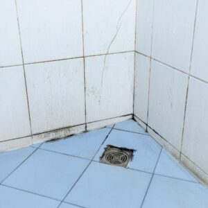 mold in grout 2 - Revive Tile & Grout
